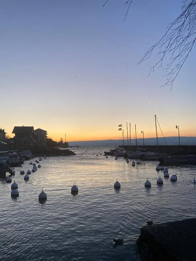 Bord De Lac,2 Chambres Superbe Vue Lac 5Mn Evian Lugrin France