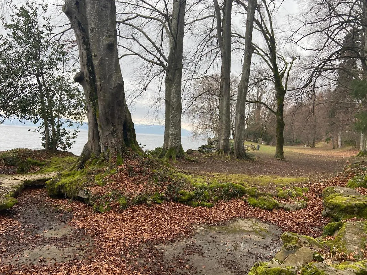 Bord De Lac,2 Chambres Superbe Vue Lac 5Mn Evian Lugrin 0*,