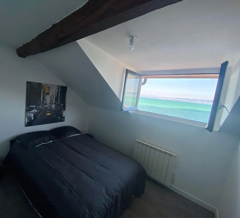 Bord De Lac,2 Chambres Superbe Vue Lac 5Mn Evian Lugrin