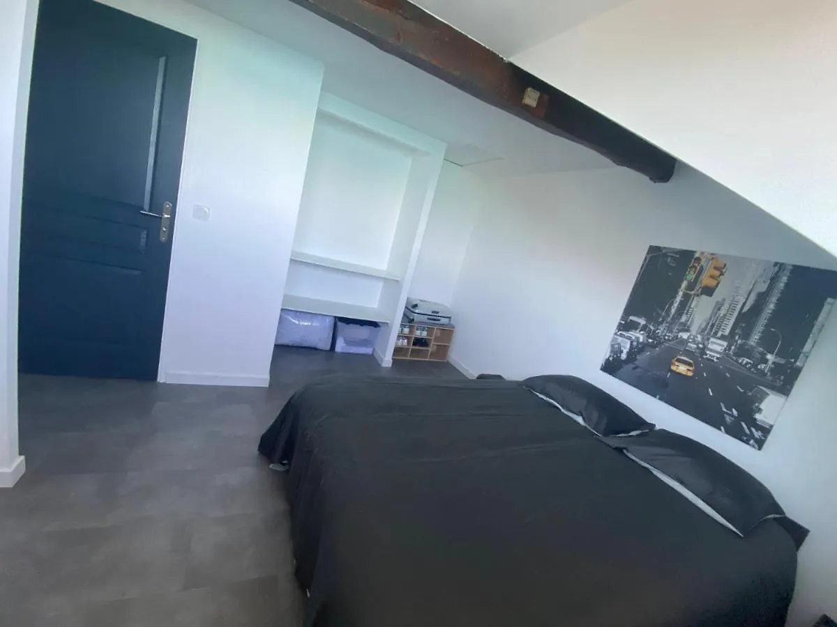 Bord De Lac,2 Chambres Superbe Vue Lac 5Mn Evian Lugrin France